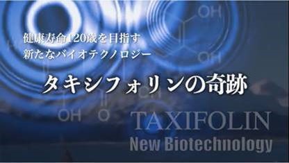 東北大学らの抗酸化素材「タキシフォリン」研究を紹介