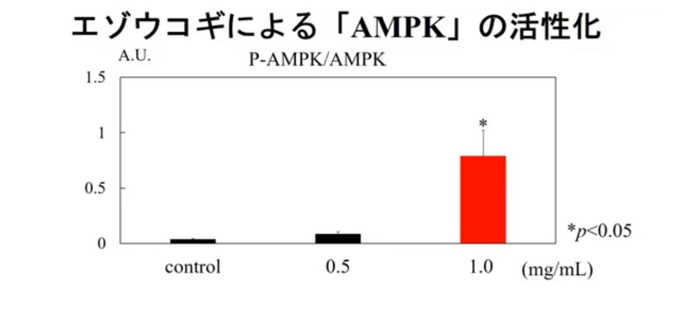 エゾウコギ素材に「脂肪分解」「エネルギー産生」のユニークな機能性/備前化成