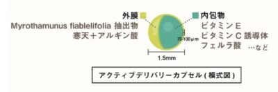 「短鎖脂肪酸カプセル」研究結果を公表/森下仁丹