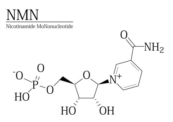 「発酵NMN」豊富な安全性データで差別化/日本バルク薬品