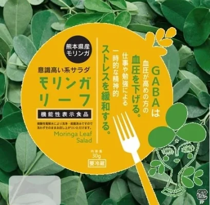 モリンガで天草地域の活性化へ/アマーサ