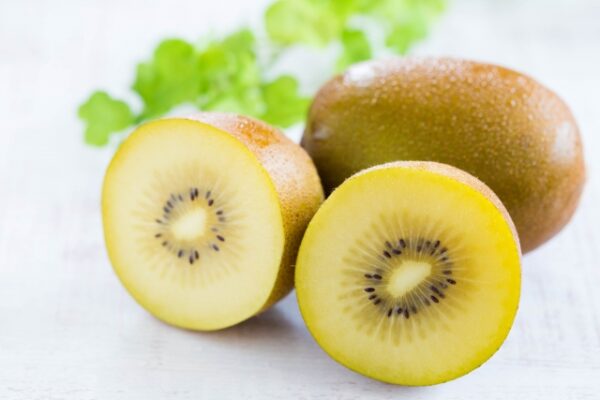 腸内訴求にキウイパウダーを提案/日成共益