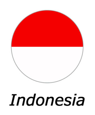 インドネシア、8月施行の「保健オムニバス法」