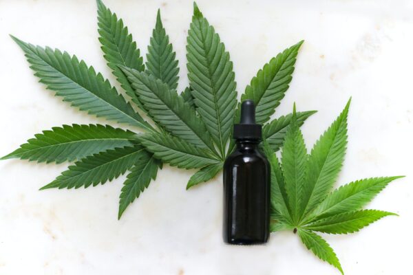 【CBD】希少原料の供給も可能/アストラサナ・ジャパン