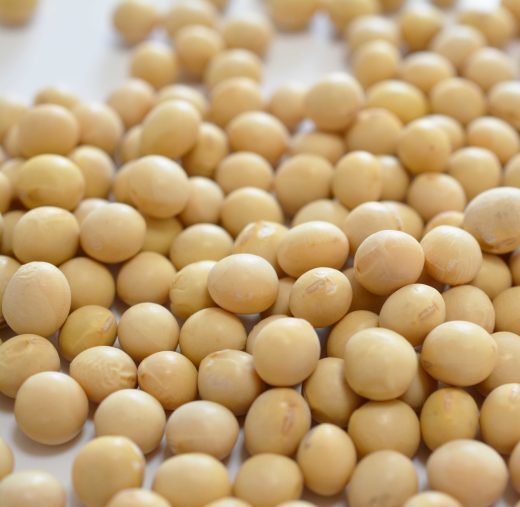 エクオール乳酸菌、フェムケア領域で注目/炭プラスラボ