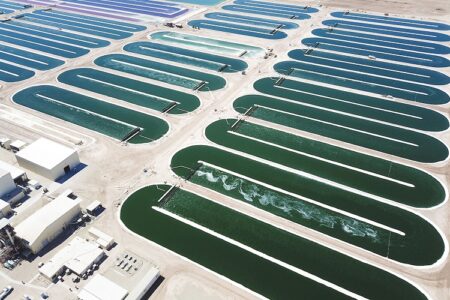 米国子会社がスピルリナの培養工場を新設/DIC