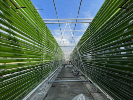 ロート製薬と共同で藻類の開発強化へ/オーピーバイオ