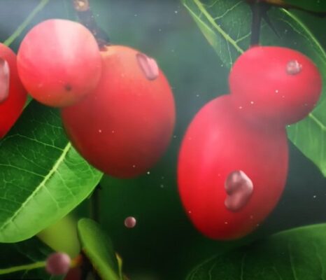 EAUガイドラインに尿路感染症の研究が掲載/インデナジャパン