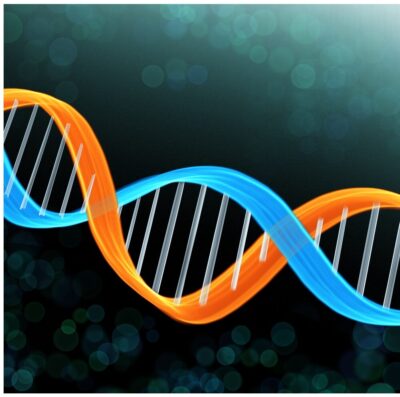 核酸、化粧品向けの引き合い増加/日生バイオ