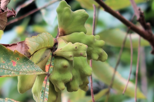 高純度・高品質・低価格で引き合い増／サンクト