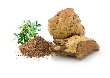 「サラシアエキスSG」PRISMA2020新様式へ対応／バイオアクティブズジャパン