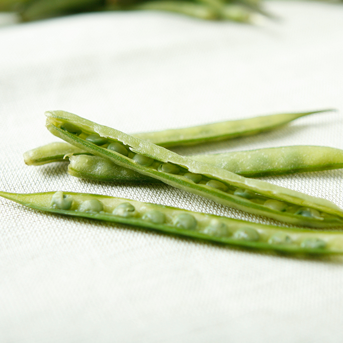 新たな機能性取得で提案増／太陽化学
