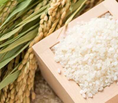 セラミドで「免疫表示」目指す/オリザ油化