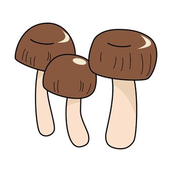 「ＡＢＭＫ‐２２」添加で有効成分を高効率で摂取／エス・エス・アイ