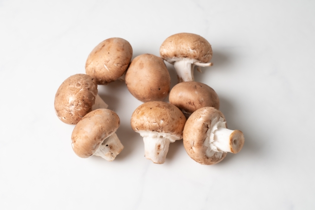 ペット関連での引き合いが好調／リコム