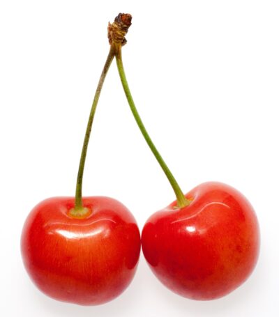 タートチェリー提案強化/ティーエストレーディング