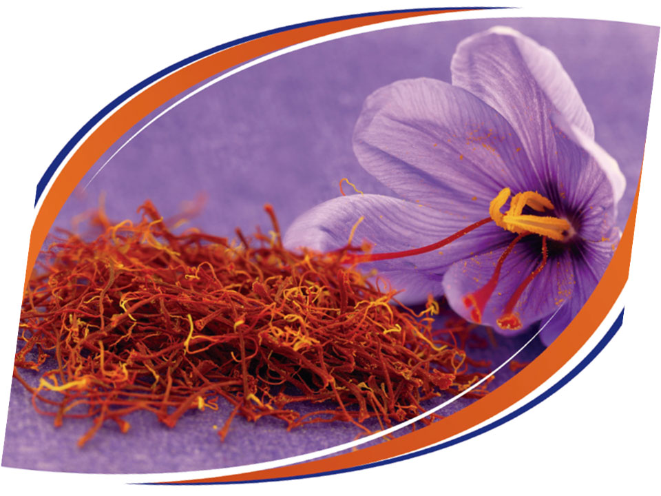 睡眠・ストレス・記憶力など豊富なエビデンス取得／海佑商事