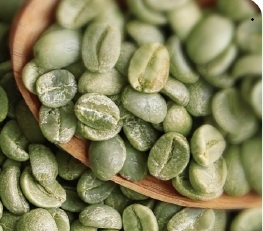 生コーヒー豆エキスなど独自素材多数/ニュートリボット