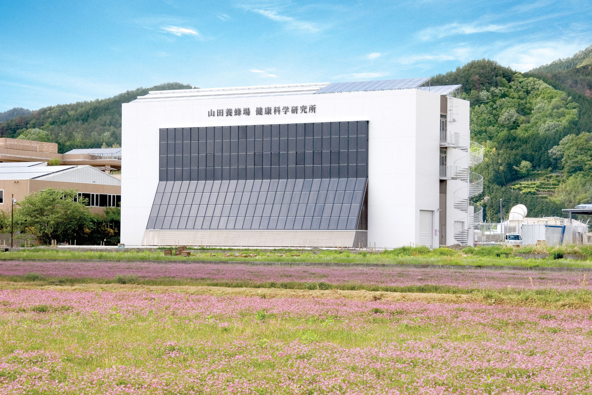 デカン酸代謝物が骨形成を促進/山田養蜂場