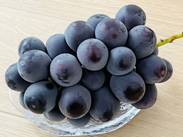 「肌の弾力を維持」乳酸菌初の受理実績/伊藤忠ケミ