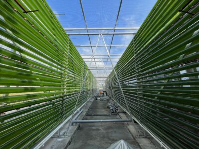 ロート製薬と協同で海洋生物資源の研究強化/オーピーバイオ
